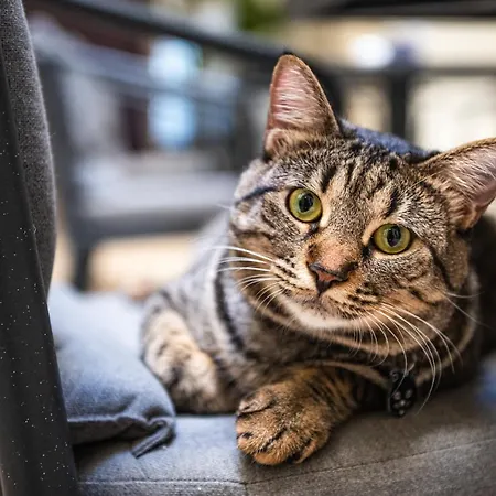 Hotel Gallery Rooms- Palazzo D'ali' Staiti Xix