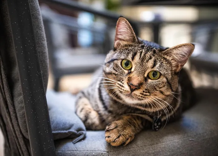 Hotel Gallery Rooms- Palazzo D'ali' Staiti Xix